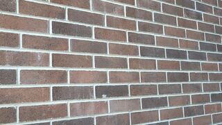 Strata Brick Smooth -Terra large image 6