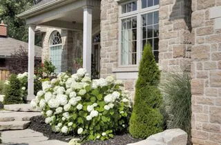 Pierre Q Cambria large image 4