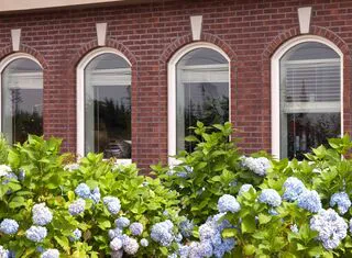 Les clés de voûte large image 15